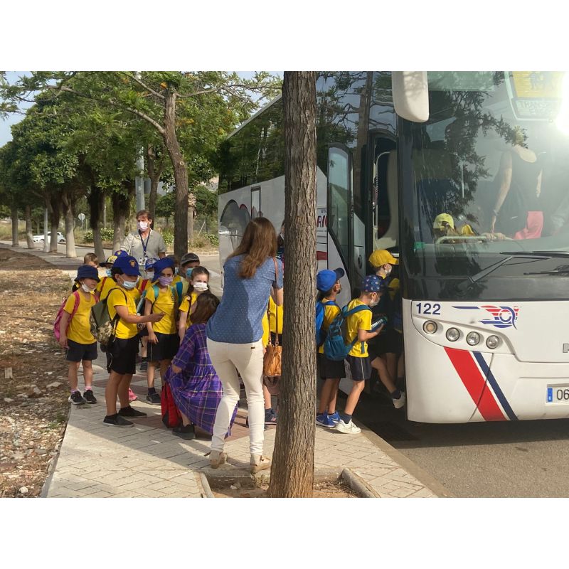 autobus transporte escolar malaga